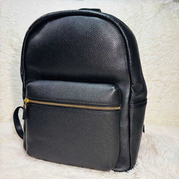 HUSHTUG ハッシュタグ バックパック モンゴルレザー 黒 美品 廃盤品 レザー リュックサック リュック ブラック 本革