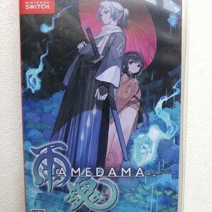 Switch 雨魂 AMEDAMA izanagi games