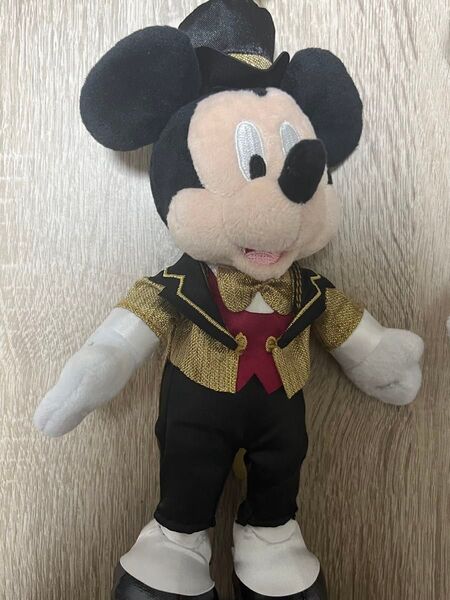【東京ディズニーリゾート店限定】 お顔厳選 ミッキー ぬいぐるみキーホルダー