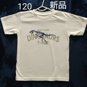 Ampersand アンパサンド 120サイズ Tシャツ 恐竜 T‐REXプリント 新品未使用 男の子