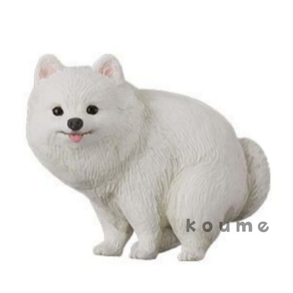 ふんばり〜ぬ ふんばりーぬ 犬 フィギュア ガチャ ポメラニアン