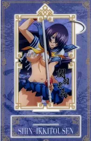 関羽雲長 アクスタB.I.G. 真・一騎当千 あたり付缶バッジコレクション あたり景品 BIGアクリルスタンド