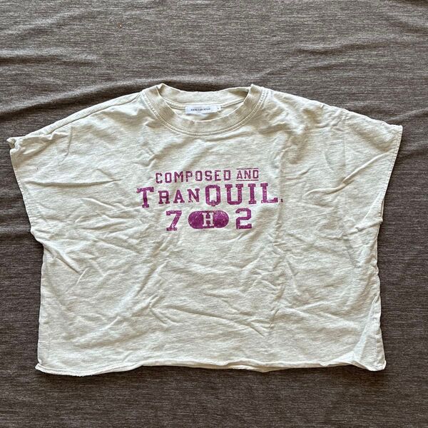AMERICAN HOLICトップス L ビンテージ 半袖Tシャツ
