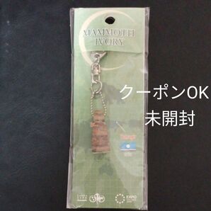 牙キーホルダー 愛知万博