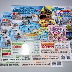 レオマワールド 優待券 割引券 3枚セット