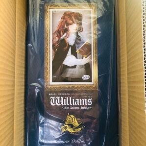 【新品未開封/送料込】SD Graffiti SDGr 男の子 ウィリアムズ Williams ボークス スーパードルフィー
