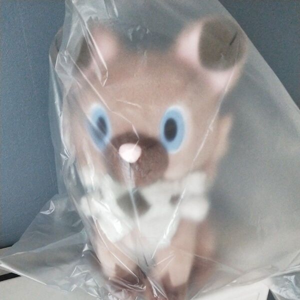 ポケモン 等身大 イワンコ おすわりぬいぐるみ ぬいぐるみ 犬 クッション 抱き枕 ポケモンセンター