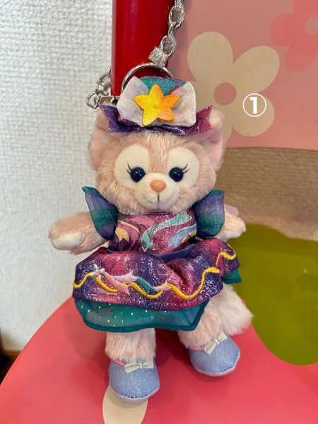 香港ディズニー 20周年 リーナベル キーチェーン 画像の子 バッグチャーム 新品タグ付き HKDL