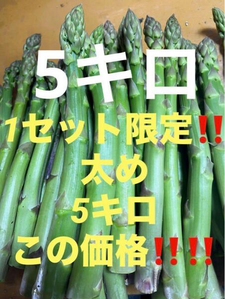 新鮮アスパラ アスパラガス B品 訳あり