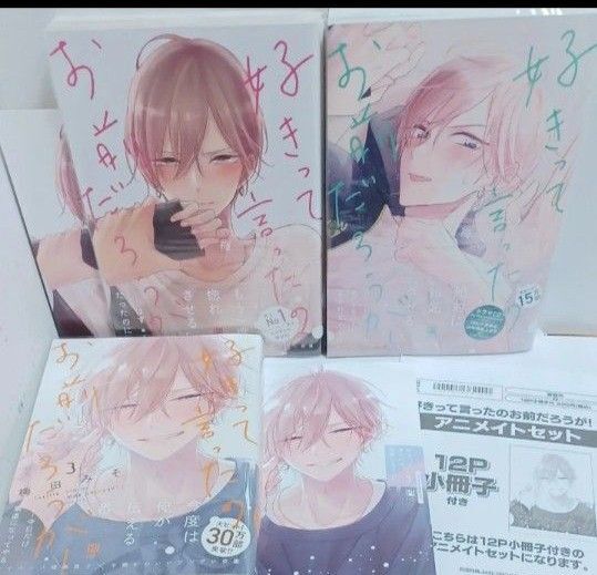 好きって言ったのお前だろうが! 既刊3巻/梅田みそ