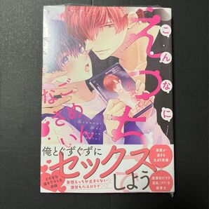 新刊 こんなにえっちでごめんなさい。 車谷晴子 ブックカバー付き 応募券なし