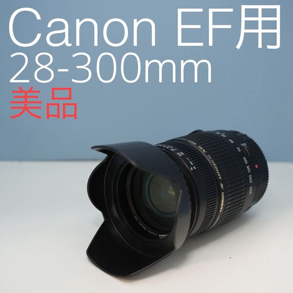 TAMRON 28-300mm Canon用 標準+望遠レンズ z0017