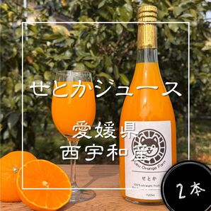 愛媛県西宇和産 せとかジュース 2本 せとか みかんジュース オレンジジュース