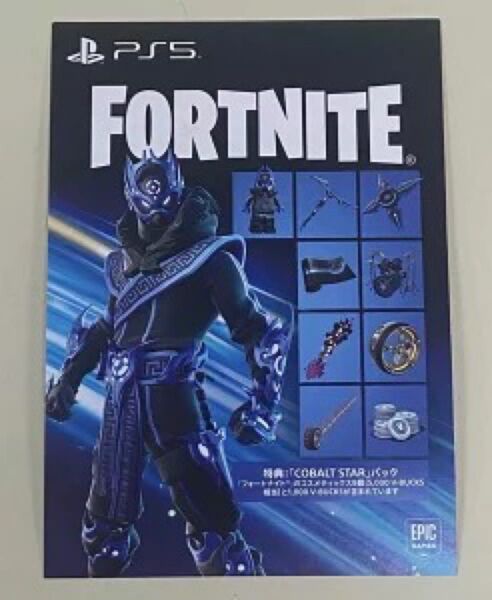 PlayStation5 Slim FORTNITE フォートナイト ダウンロード PS5ダウンロードコード FORTNITE