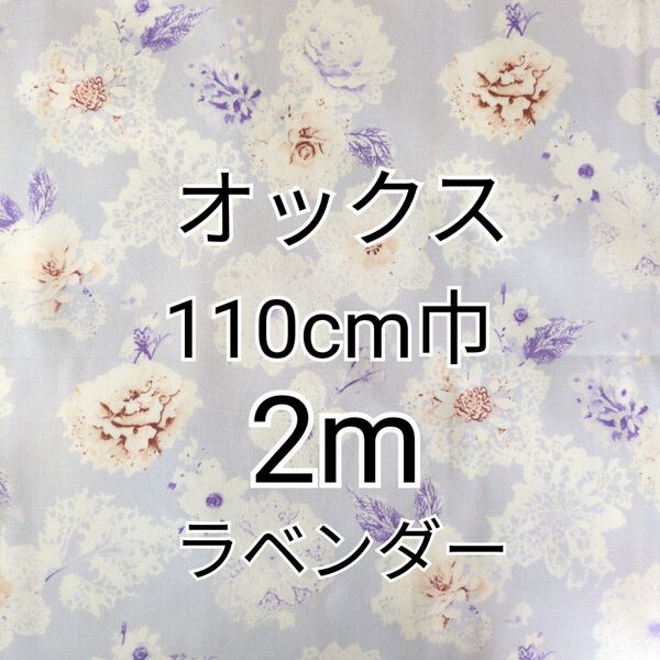 レーシーフラワー(ラベンダー)オックス生地 2m