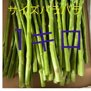 アスパラ 1キロ