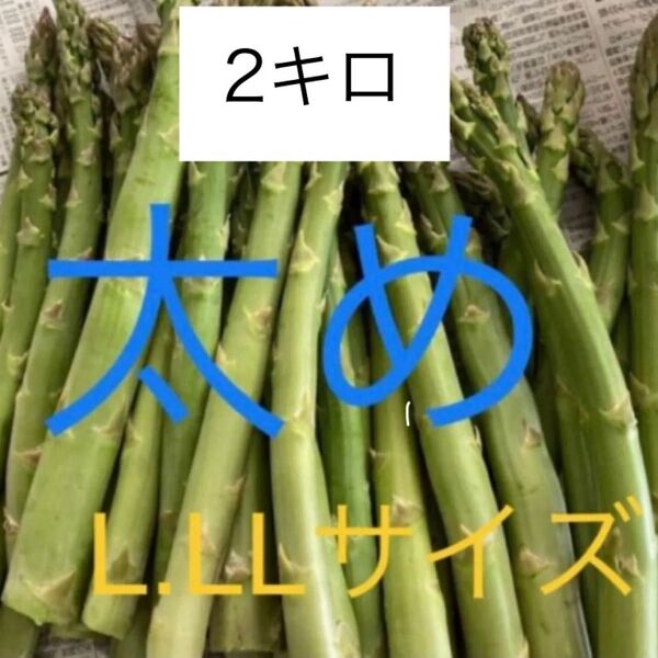アスパラ 太め 2キロ アスパラガス B品