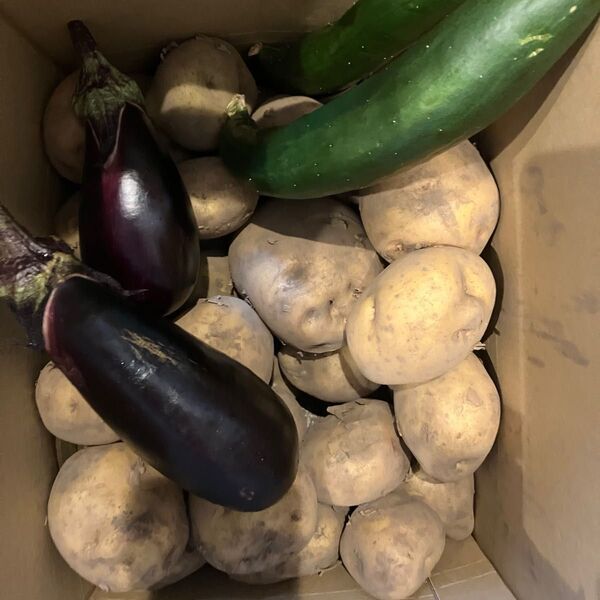野菜詰め合わせ じゃがいも 1キロ なす きゅうりおまけ