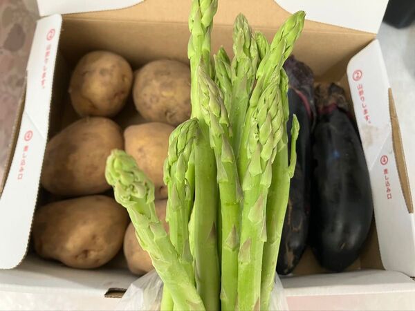 野菜詰め合わせ なす じゃがいも アスパラ