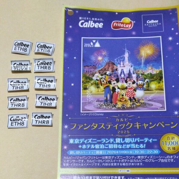 80点分 カルビー ファンタスティックキャンペーン2025応募券とハガキ