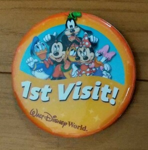 ディズニーワールド　ＷＤＷ　★　缶バッジ　未使用品