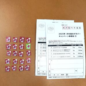 井村屋 あずきバー キャンペーン応募券 20枚 + 応募はがき2枚