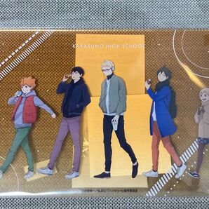 ハイキュー 烏野高校 一年生 アクリルアートパネル