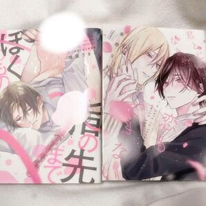 指の先までぼくのもの 君とじゃなきゃ恋もできない BL漫画 まとめ売り