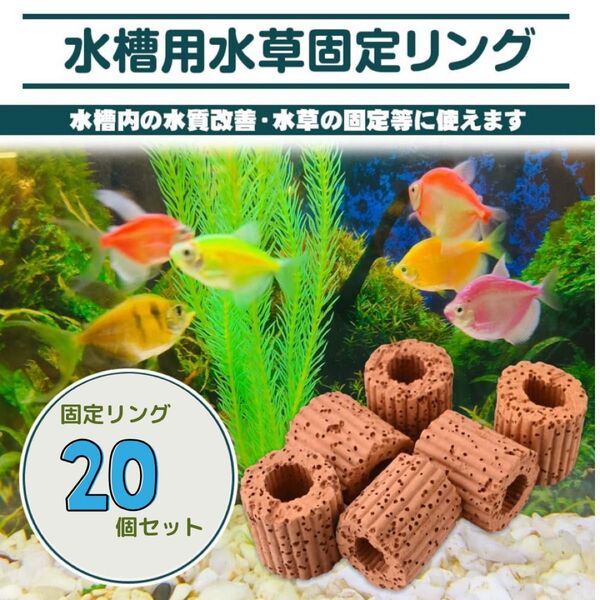 【20個set】水草固定リング 水槽用 アクアリウム内装 濾過 水質改善 隠れ家