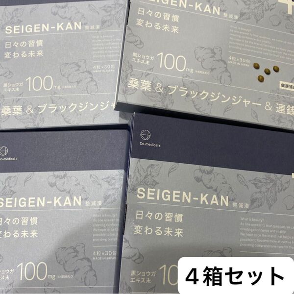 CO 整減漢 シーオーメディカル ダイエットサプリメント