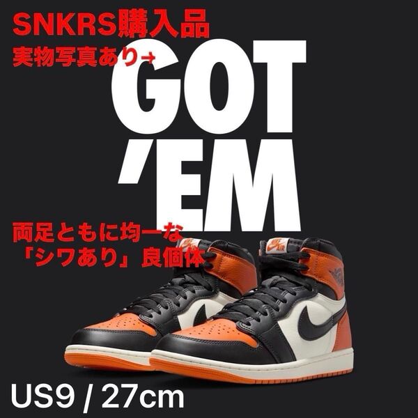 27cm Nike Air Jordan 1 Retro High OG "Shattered Backboard" (2025)