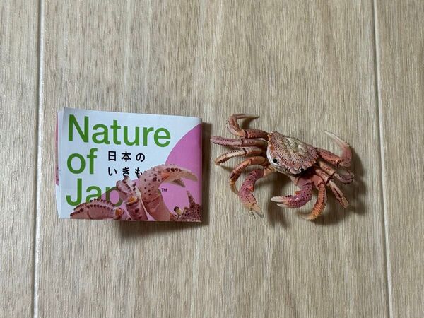 ガチャガチャ ガチャ カプセルトイ Nature of Japan 日本のいきもの 03 ケガニ