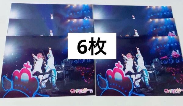 すとぷり ころん さとみ さところ ペア 実写 ランダム ブロマイド