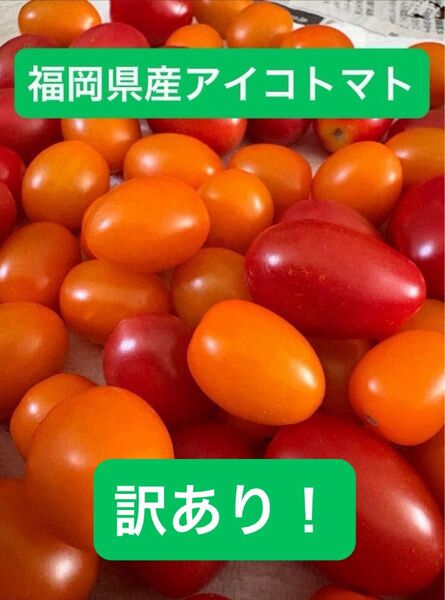 【訳あり!】アイコトマトmix