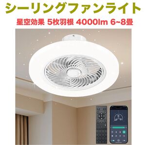 シーリングファンライト 天井照明 星空効果 5枚羽根 4000lm 6~8畳