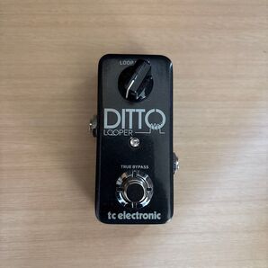 TC ELECTRONIC DITTO ルーパー