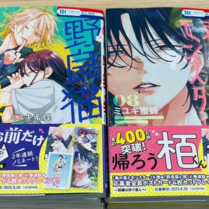 春の嵐とモンスター 8 野良猫と狼 6 ミユキ蜜蜂 セット