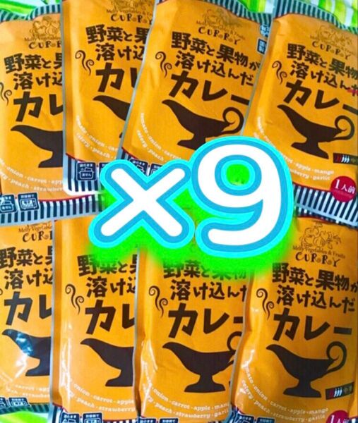 ★国内製造☆中辛レトルトカレー9食!野菜と果物が溶け込んだカレー・食品まとめ売り◎時短調理でヘルシー温活♪たっぷりセット