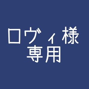 ロヴィ様 専用 マジカルミライ2025 初音ミク 缶バッジ ホログラム