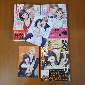 オネエ系ヤクザに毎晩溺愛されてます⑧&溺愛バチェラーは極上テクで抱き尽くす セレブな彼の肉食Hなオスの顔 上 下