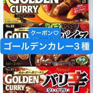 エスビー食品 ゴールデンカレー 3種類(甘口、スパイス中辛、バリ辛)3箱セット S&B カレールウ クーポン利用 折り紙1枚