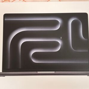 MacBook Pro 14インチ M4 スペースブラック 2024年発売モデル 16GB 512GB USキーボード