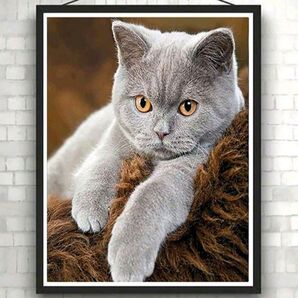 【No.155】ダイヤモンドアート☆スターターキット☆ロシアンブルー☆猫ネコ☆飾れるインテリア趣味DIY1