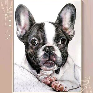 【No.156】ダイヤモンドアート☆スターターキット☆フレンチブルドッグ☆犬☆飾れるインテリア趣味DIY1