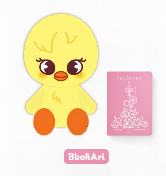 Stray Kids SKZOO PLUSH TEDDYBEAR Ver. BbokAri テディベア