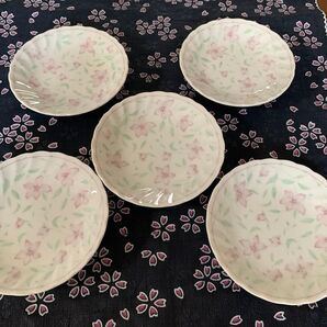 小皿 12×2㎝ 5枚