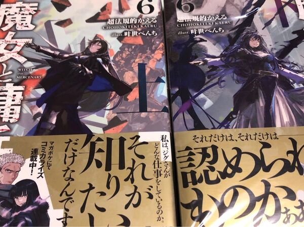 魔女と傭兵 6上 下(GCN文庫 チ01-06) 超法規的かえる/著
