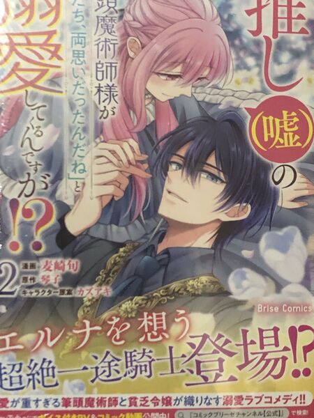 推し〈嘘〉の筆頭魔術師様が「俺たち、両思いだったんだね」と溺愛してくるんですが!? 2