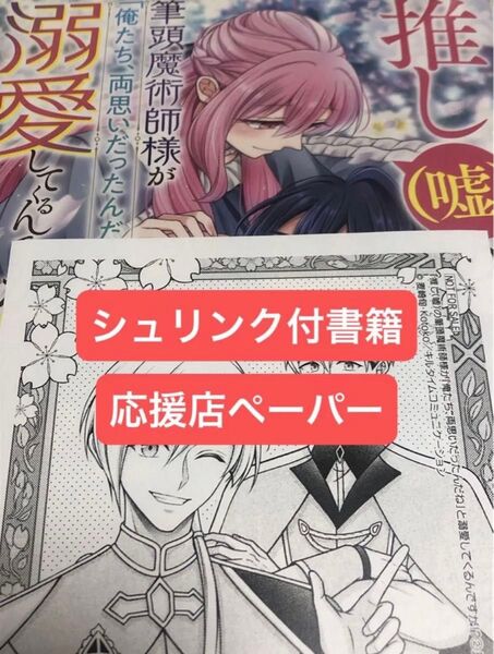 推し〈嘘〉の筆頭魔術師様が「俺たち、両思いだったんだね」と溺愛してくるんですが!? 2