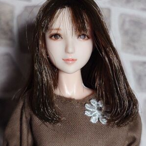 1/6カスタムドールヘッド